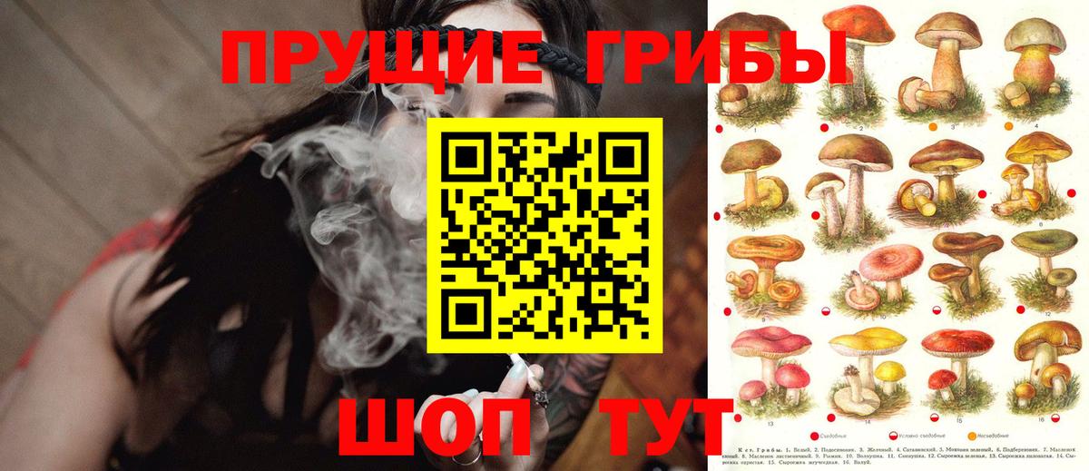 Псилоцибиновые грибы GOLDEN TEACHER  Вход с VPN  Холмск 